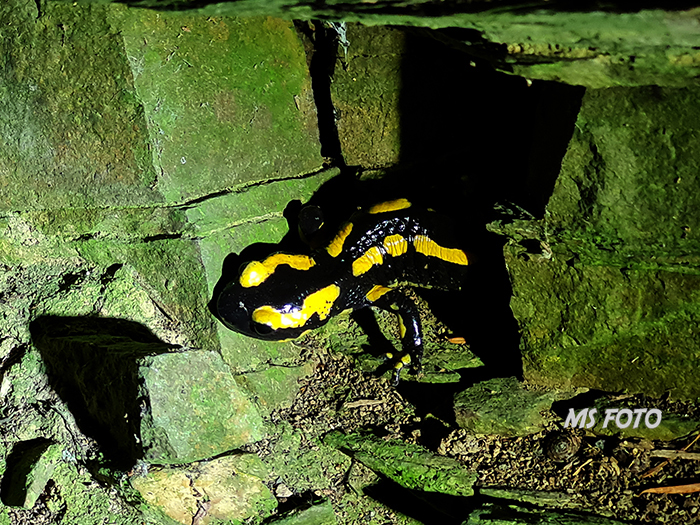 20251016_194017 20251016_194017