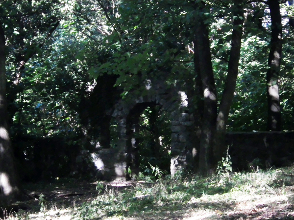IMGP2440