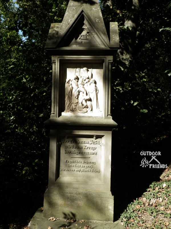 IMGP2459