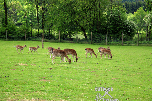 IMG_9885 IMG_9885