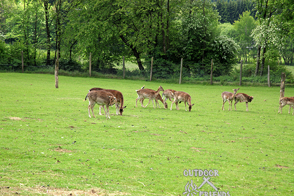 IMG_9886 IMG_9886